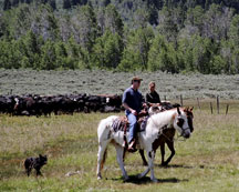 Phil Kassel - Glenns Ferry, ID